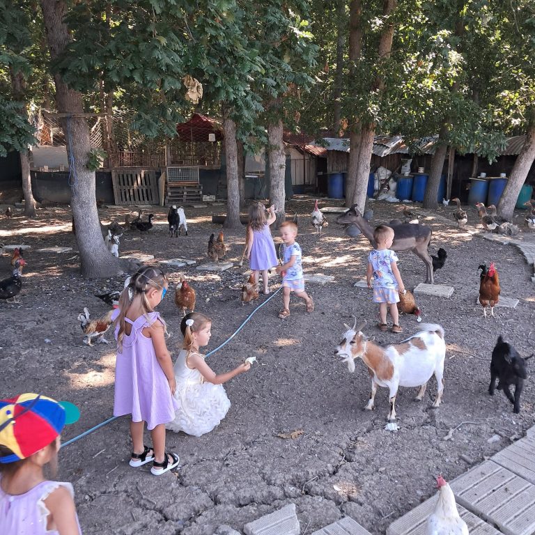 Парти център 518383670 122174468168343396 4697152500066816828 n
